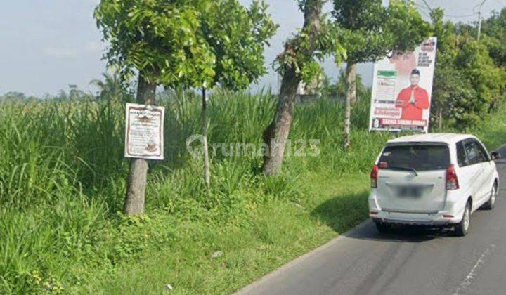 Sawah produktif di Wlingi Blitar 2