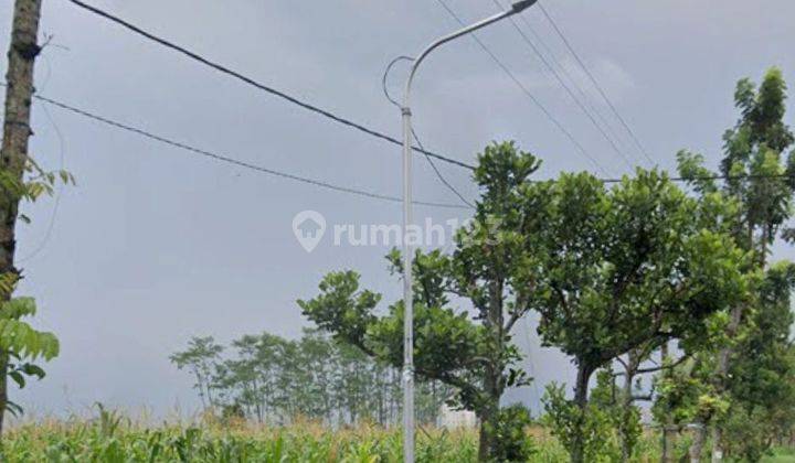 Sawah produktif di Wlingi Blitar 1