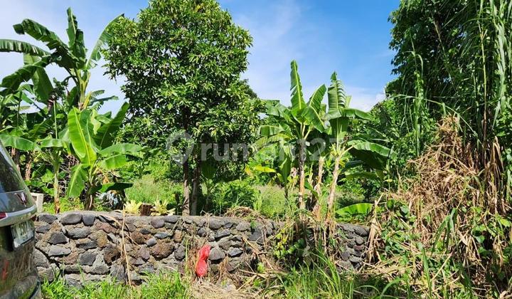 Land on Jl. Sunset Road SHM 27.0 Are Land on Jl. Sunset Road SHM 27.0 Are