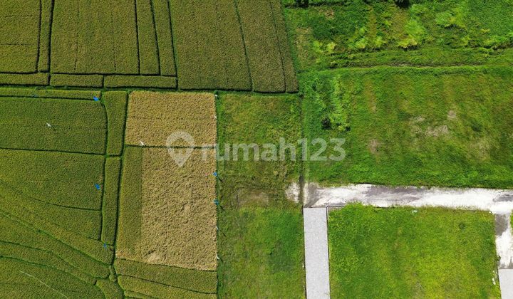 Di Pantai Kedungu, Jl. Pantai Kedungu, Belalang, Kediri, Tabanan, Bali, Indonesia. SHM
