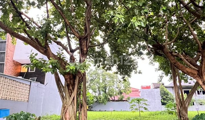 Kavling Siap Bangun 28X9 Area Strategis di Kemang Pratama Bekasi Kavling Siap Bangun 28X9 Area Strategis di Kemang Pratama Bekasi