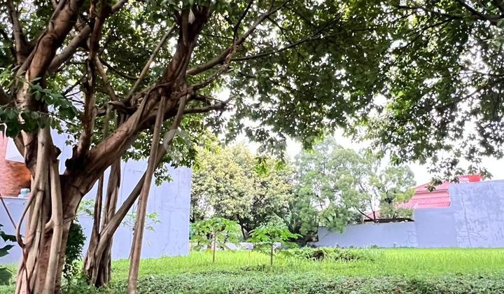 Kavling Siap Bangun Luas 242 Meter di Kemang Pratama Bekasi Kavling Siap Bangun Luas 242 Meter di Kemang Pratama Bekasi