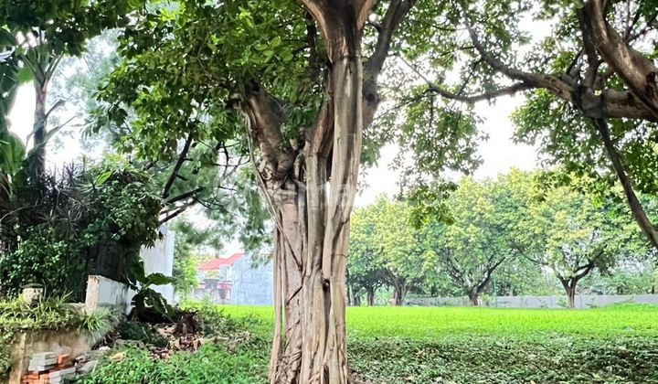 Kavling Luas 269 Meter Area Strategis di Kemang Pratama Bekasi Kavling Luas 269 Meter Area Strategis di Kemang Pratama Bekasi