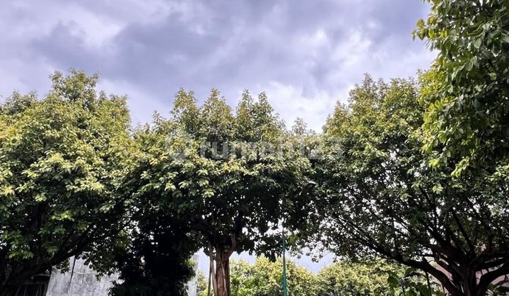 Kavling Siap Bangun Luas 255 Meter di Kemang Pratama Bekasi Kavling Siap Bangun Luas 255 Meter di Kemang Pratama Bekasi