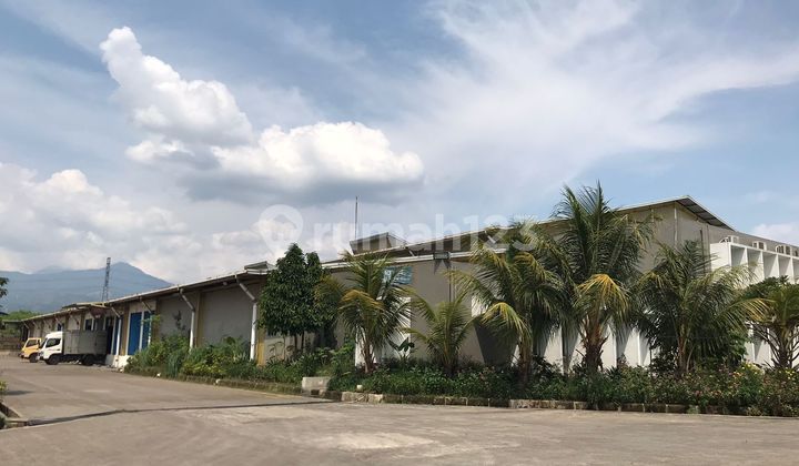 Pabrik Ex Garment Luas 17.900 Meter Di Jl Soekarno Hatta Bandung Pabrik Ex Garment Luas 17.900 Meter Di Jl Soekarno Hatta Bandung