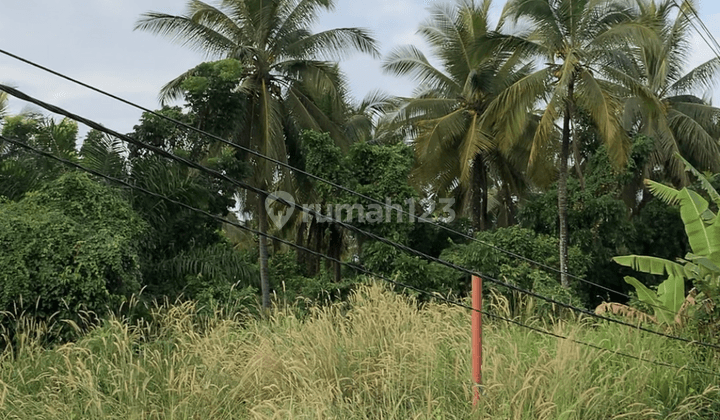 Tanah SHM di Bayah, Lebak, Banten 1