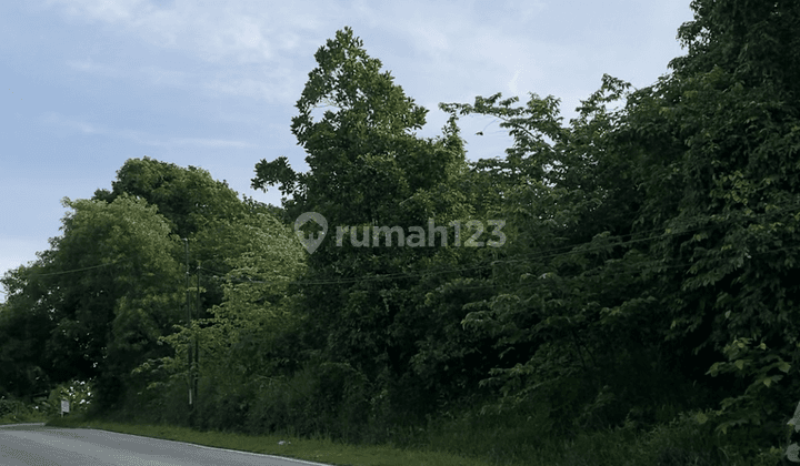 Tanah SHM di Bayah, Lebak, Banten 4
