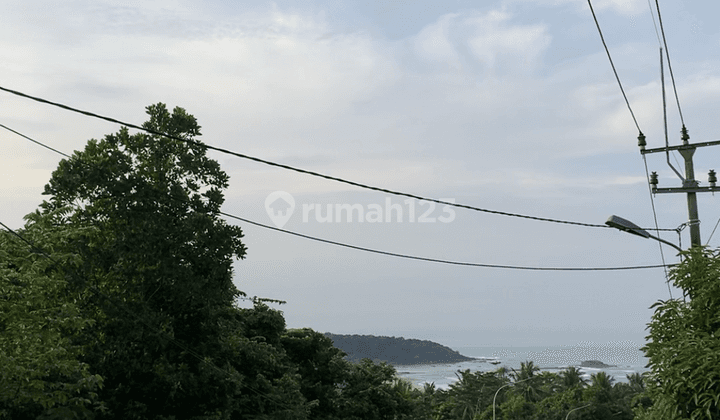 Tanah SHM di Bayah, Lebak, Banten 5