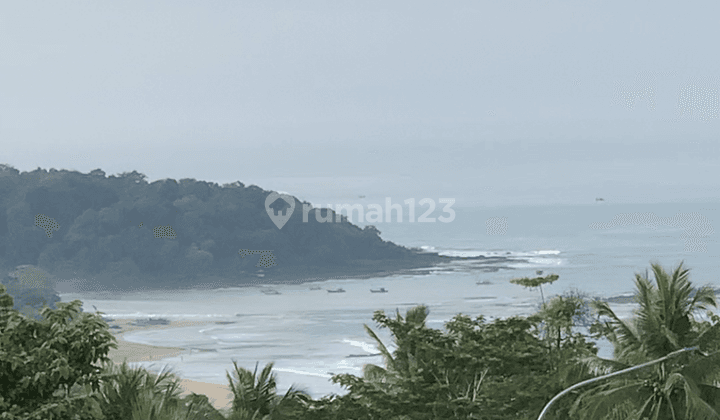 Tanah SHM di Bayah, Lebak, Banten 6