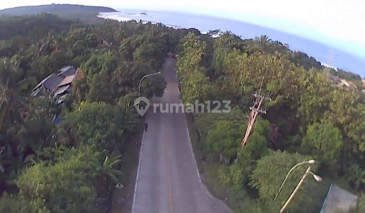 Tanah SHM di Bayah, Lebak, Banten 9
