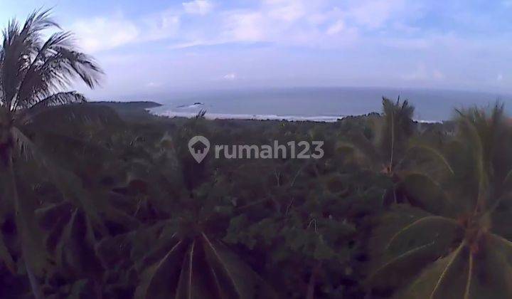 Tanah SHM di Bayah, Lebak, Banten 12
