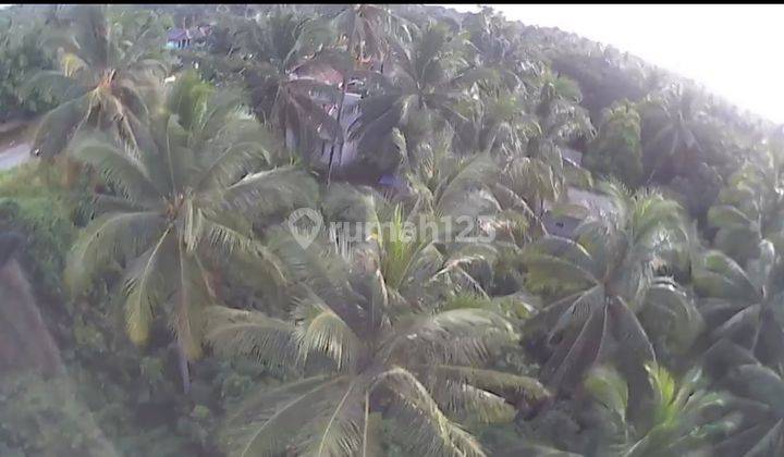 Tanah SHM di Bayah, Lebak, Banten 14