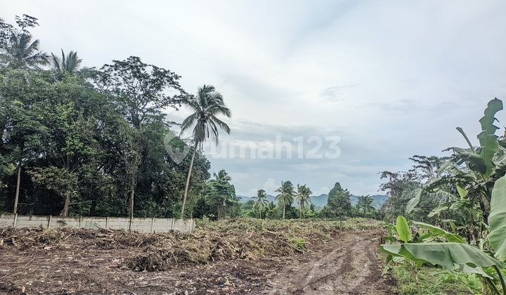 Large Land - Sindang Heula, Serang Regency Large Land - Sindang Heula, Serang Regency