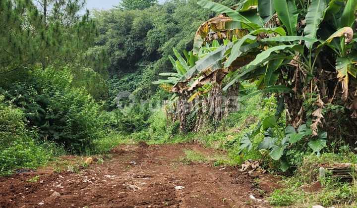 Kavling Exlusive Di Komplek Alam Kanayakan Dago Bandung Kavling Exlusive Di Komplek Alam Kanayakan Dago Bandung