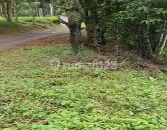 Tanah Luas Cocok Untuk Usaha di Maribaya Lembang