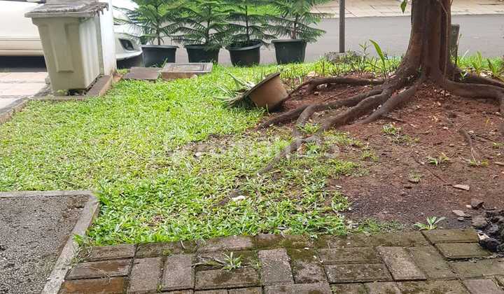 WTL Di sewakan Rumah Cluster CANARY  The Springs , Gading Serpong 2