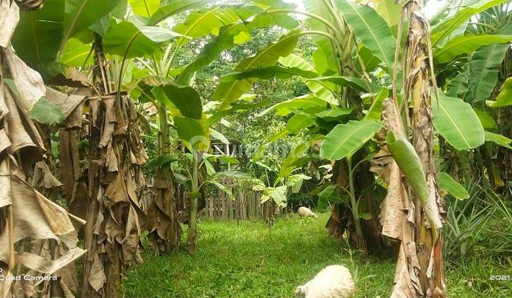 Dijual tanah di dekat wisata Green canyon Karawang  1