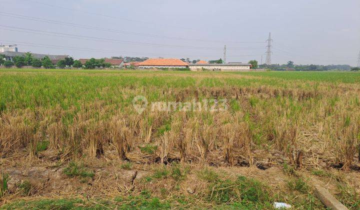 Dijual sawah di kepuh  karangpawitan Karawang Barat  2