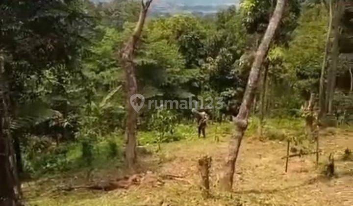 DIJUAL KEBUN BUAH DI KARAWANG DEKAT WISATA PEGUNUNGAN KARAWANG  1