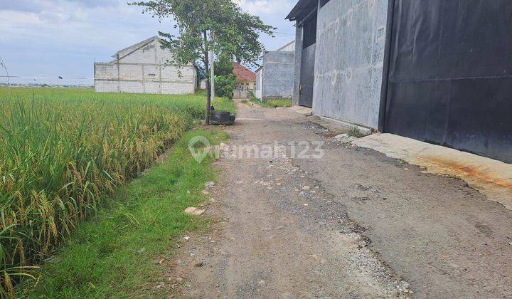 DIJUAL TANAH SIAP BANGUN DEKAT KAWASAN INDUSTRI DAN GERBANG TOL KARAWANG BARAT.  2