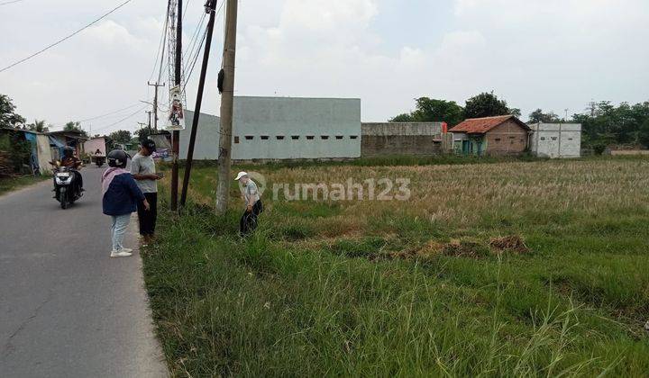 DIJUAL TANAH PINGGIR JALAN KARANGPAWITAN KARAWANG BARAT 1882 2