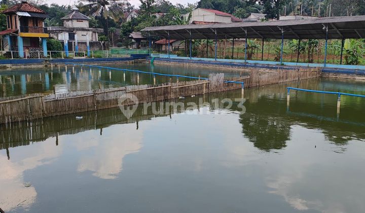 Tanah di Jln. Citerureup Bogor. 9000 SHM m² Tanah di Jln. Citerureup Bogor. 9000 SHM m²