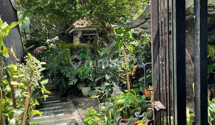 Cheapest House in Menteng on Suwiryo Street and Jambu Street Menteng 2