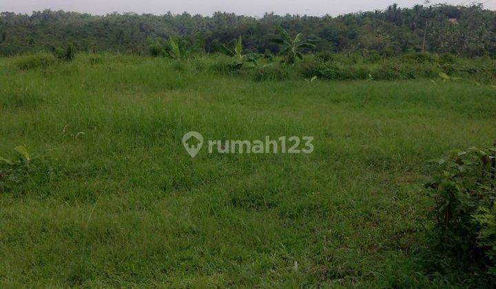 For Sale Tanah Cocok Buat Kantor Gedung Hotel Dibanten Pangeglang 2