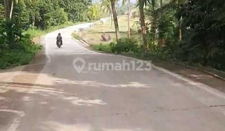 Dijual Murah Tanah Di Pandeglang Pinggir Jalan Cocok Untuk Usaha SHM 3300.0 m²