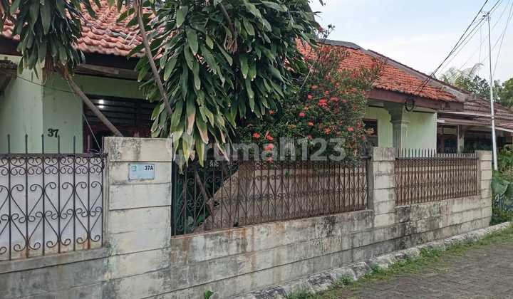 Dijual Rumah Butuh Minim Renovasi di Pondokmelati SHM Dijual Rumah Butuh Minim Renovasi di Pondokmelati SHM