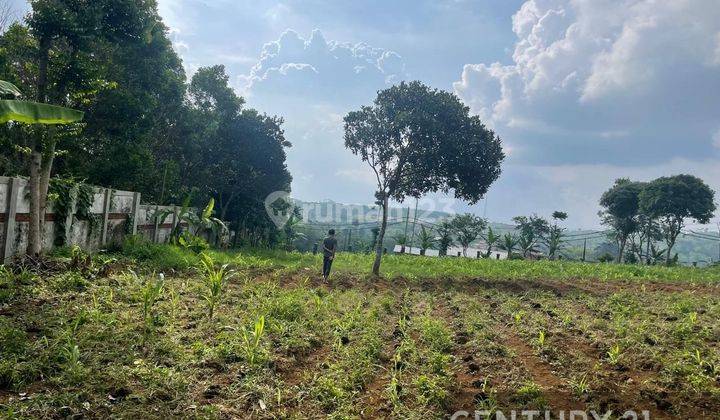 Tanah Murah Strategis Di Jalan Raya Cijapati Leles Garut 2