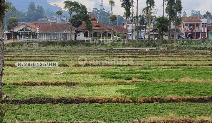 Tanah Pinggir Jalan Cocok Untuk Ruko Di Rancagede Ciwidey Bandung 1