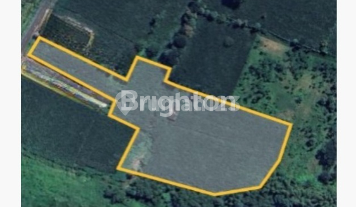 Tanah 900rbn per meter