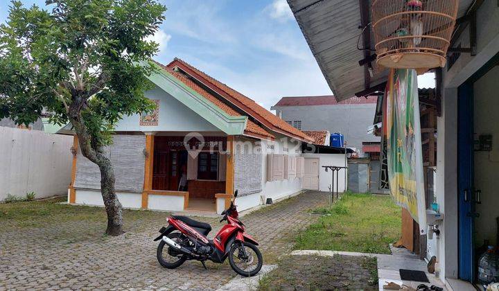 DiJual Cepat Rumah 1 Lantai Halaman Super Luas, Dekat Sekolah DBrito, Nego Sampai Jadi !! 2