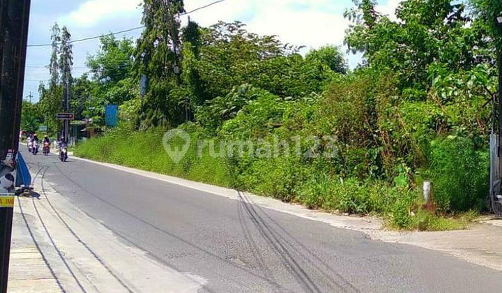 Tanah Pekarangan Luas, Lokasi Strategis, Lebar Depan Cakep, Cocok di Bangun Usaha Kuliner, Villa / Penginapan, Kemana-Mana Dekat, Dalam Ringroad. Tanah Pekarangan Luas, Lokasi Strategis, Lebar Depan Cakep, Cocok di Bangun Usaha Kuliner, Villa / Penginapan, Kemana-Mana Dekat, Dalam Ringroad.