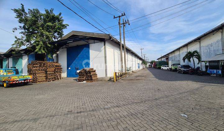 Gudang Margomulyo Permai Tandes Surabaya Harga Murah Dod.ya245 4