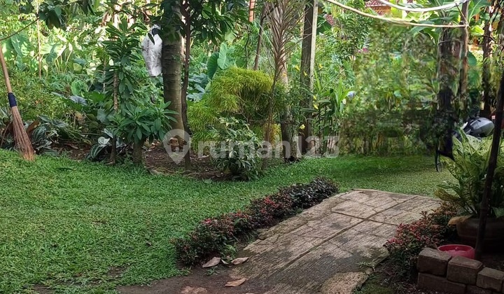 Disewakan Tanah Siap Pakai Daerah Parungpung Gunung Sindur Bagor Disewakan Tanah Siap Pakai Daerah Parungpung Gunung Sindur Bagor