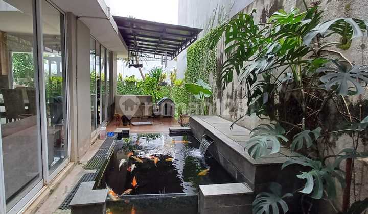 Dijual Cepat Rumah di Cajuputi BSD City dengan Kolam Ikan Koi