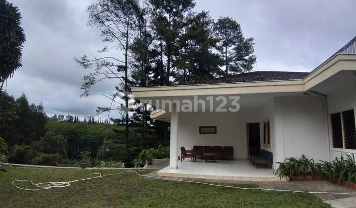 Fast Sale Ready-to-Occupy Nice Villa in Strategic Cipanas Negotiable Until Deal Fast Sale Ready-to-Occupy Nice Villa in Strategic Cipanas Negotiable Until Deal