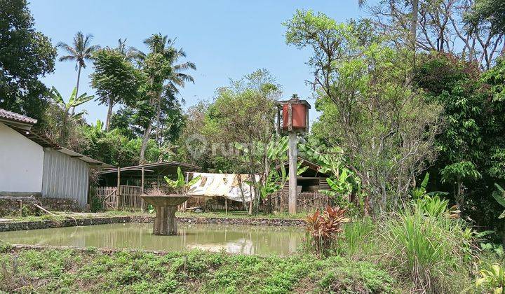 Tanah Untuk Usaha Atau Villa di Cidahu, Sukabumi, SHM 8.300 m² Harga Dibawah Pasar 2