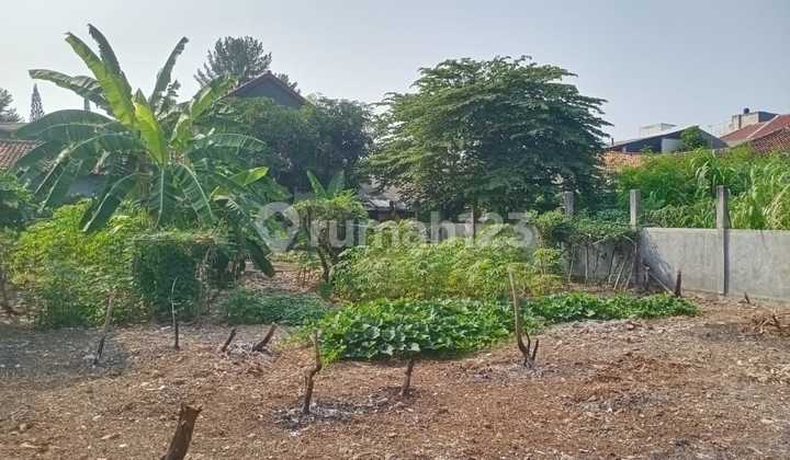 Kavling Luas 655 M² di Gas Alam Cimanggis - Area Tenang & Akses Strategis Kavling Luas 655 M² di Gas Alam Cimanggis - Area Tenang & Akses Strategis