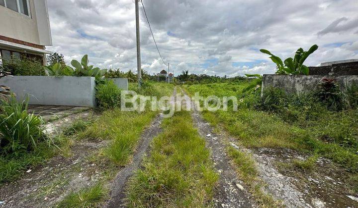 Tanah Kavling View Sawah Wanasari Tabanan 2