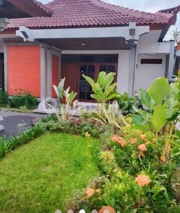 Strategic House Ready to Live in on Saelus Island, Denpasar 1