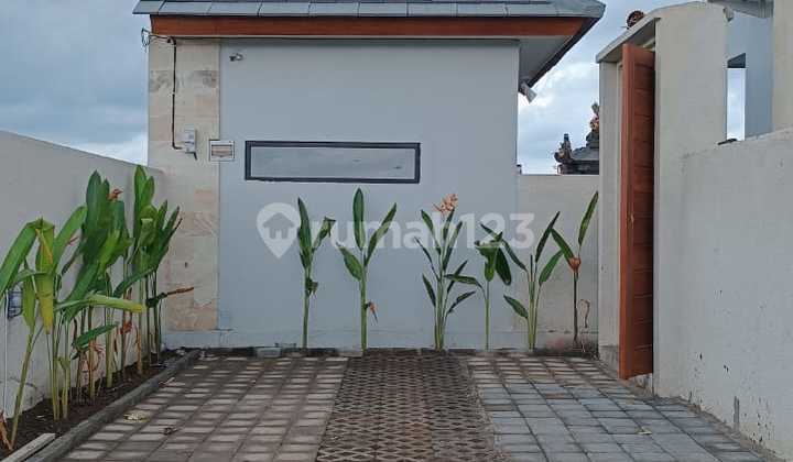 Modern Luxury Villa With Serene Rice Field View At Sukawati Gianyar Bali