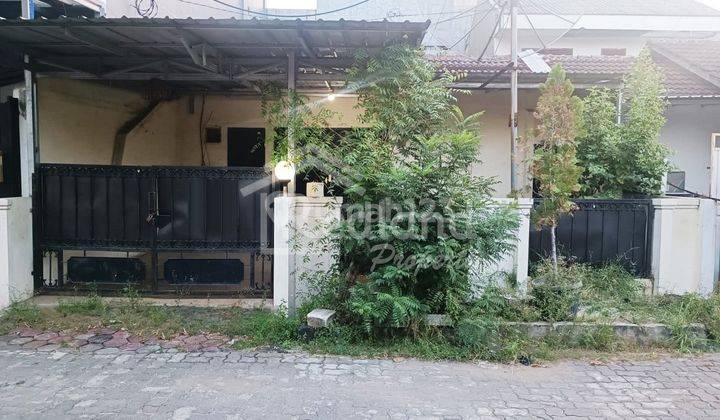 Rumah Hadap Timur SHM Di Puri Anjasmoro , Semarang Ve 5320  2