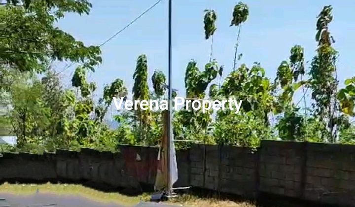 Land 9730 m2 with SHM in Gunung Pati, Semarang Ve 5447 1