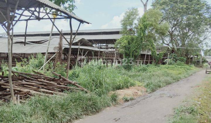 Dijual Tanah Peternak Ayam Petelur Tangerang Banten 3,2 Ha  1