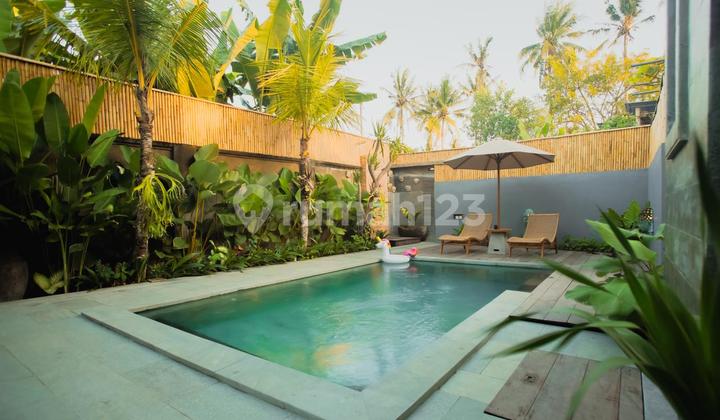 Rent Cheap Big Villa Near Canggu Kuta Bali