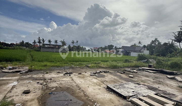 Leashold Land View Sawah At Seseh Badung Bali Near Canggu Leashold Land View Sawah At Seseh Badung Bali Near Canggu