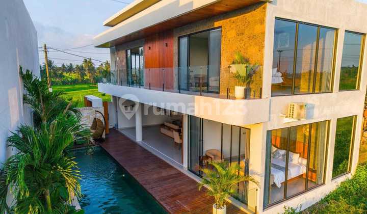 Rent New Villa with Rice Field View Near Canggu Kuta Bali